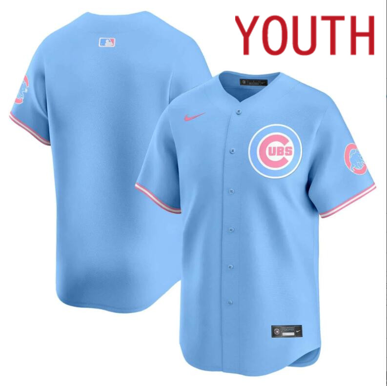 Youth  Chicago Cubs blank blue 2024 Nike MLB jersey